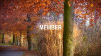 Member