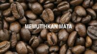 Memutihkan Mata