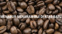 Menabur Menanam Biji Di Atas Batu