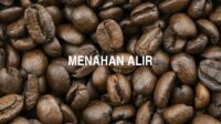 Menahan Alir