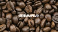 Menahapkan