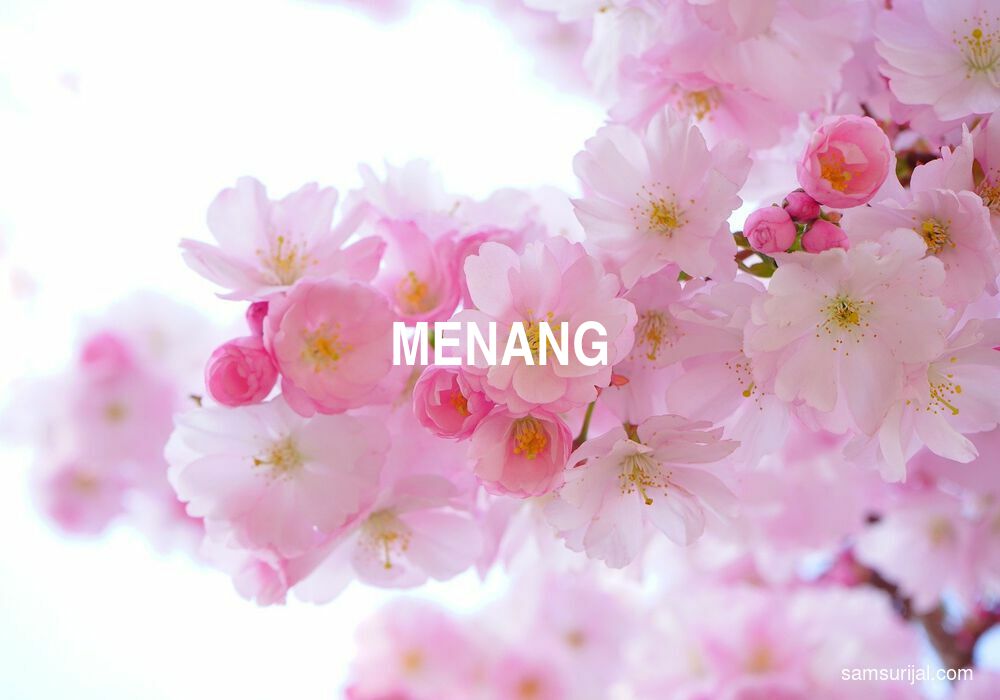 Arti Menang