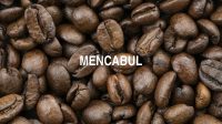 Mencabul