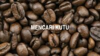 Mencari Kutu