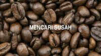 Mencari Susah