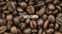 Mencatu