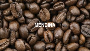Mencina