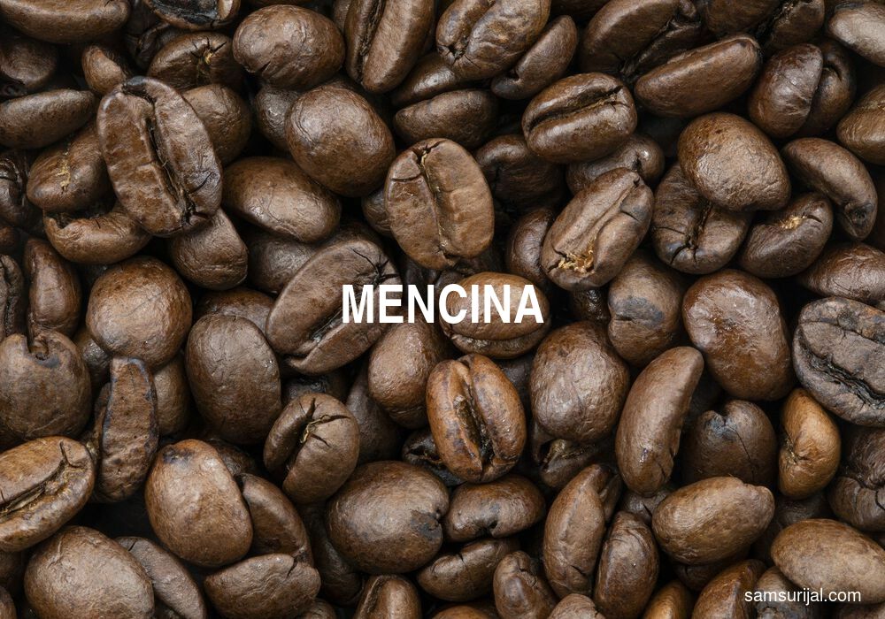 Arti Mencina
