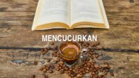 Mencucurkan