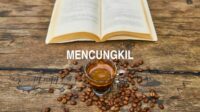 Mencungkil