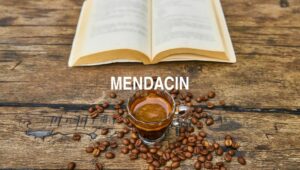 Mendacin