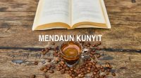 Mendaun Kunyit