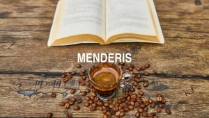 Menderis