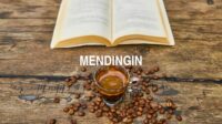 Mendingin