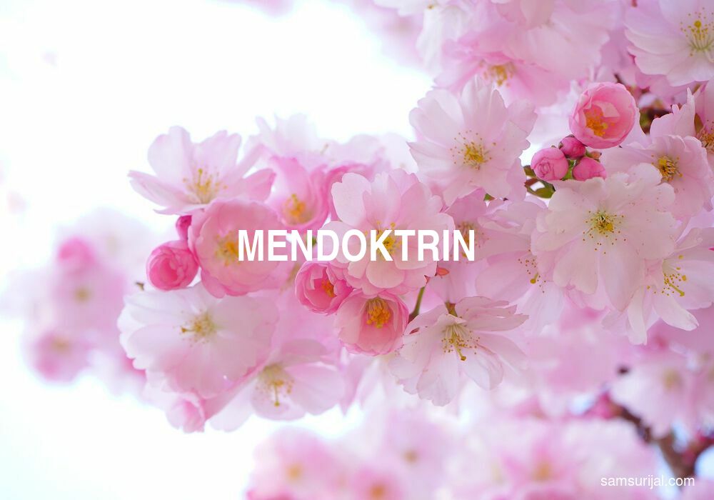 Arti Mendoktrin
