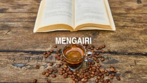 Mengairi