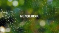 Mengerisik