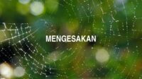 Mengesakan