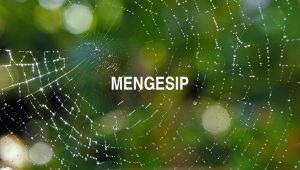 Arti Mengesip