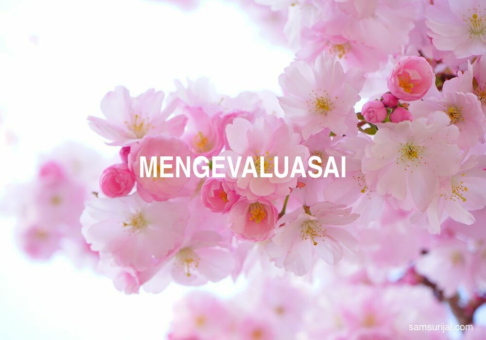 Arti Mengevaluasai