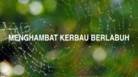 Menghambat Kerbau Berlabuh