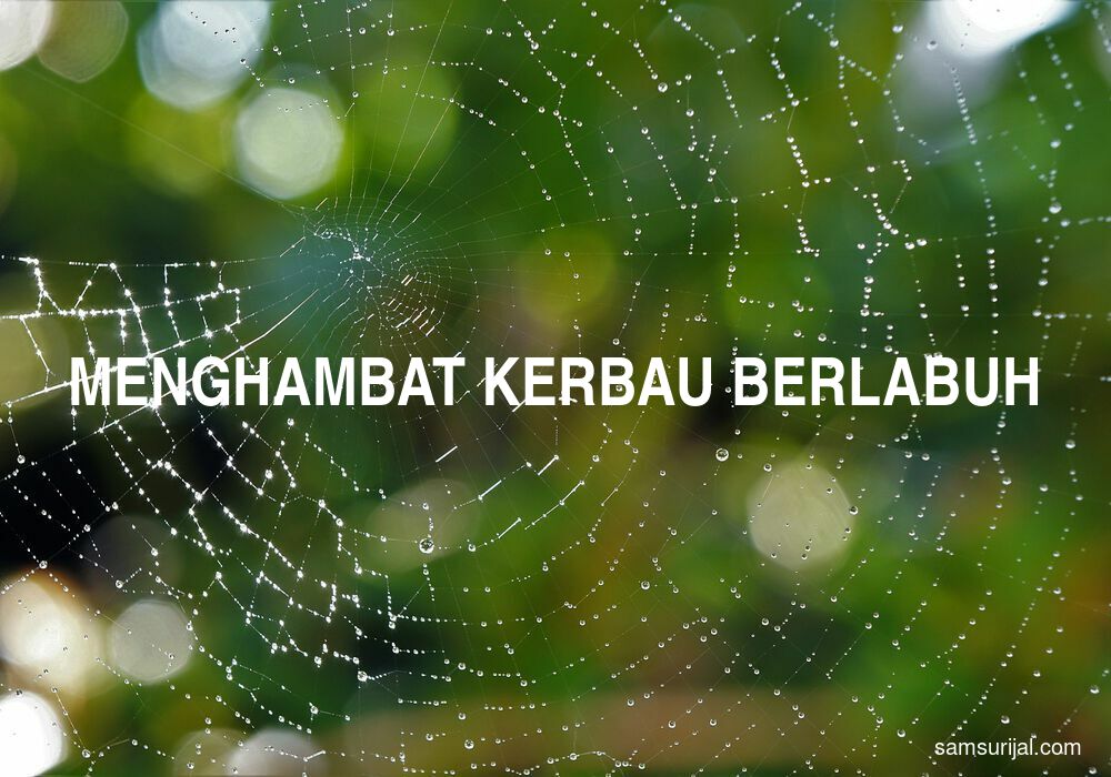 Arti Menghambat Kerbau Berlabuh