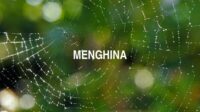 Menghina