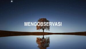 Mengobservasi