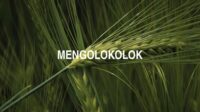 Mengolokolok