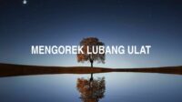 Mengorek Lubang Ulat