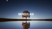 Mengulasi