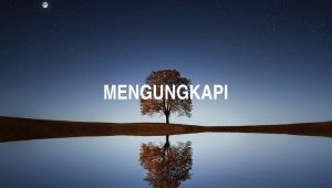 Mengungkapi