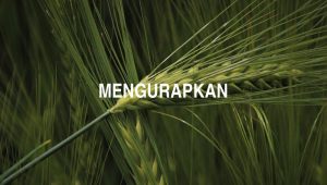 Mengurapkan