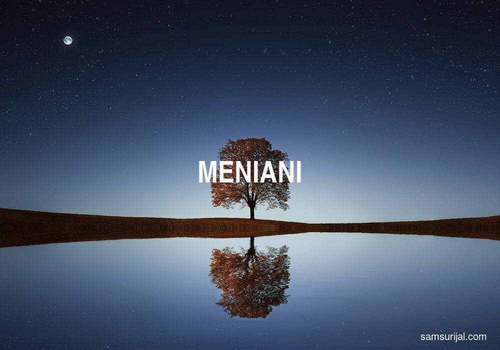 Arti Meniani