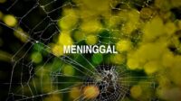 Meninggal