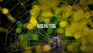 Arti Menitis