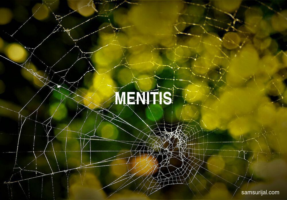 Arti Menitis