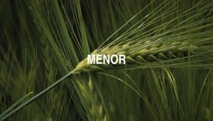 Arti Menor
