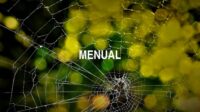 Menual