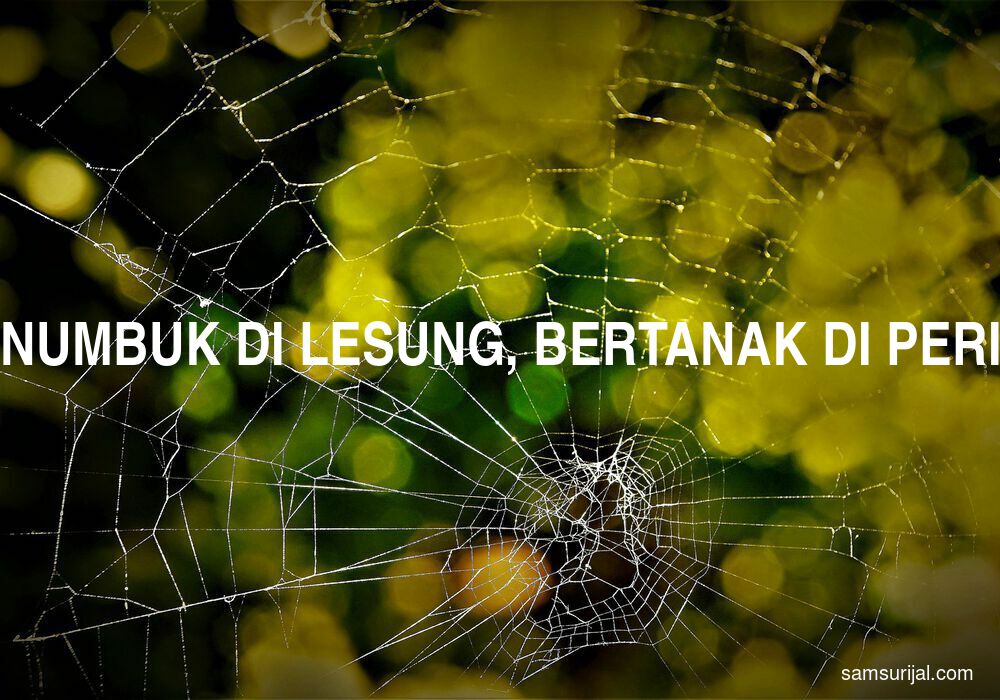 Arti Menumbuk Di Lesung Bertanak Di Periuk