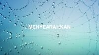 Menyearahkan