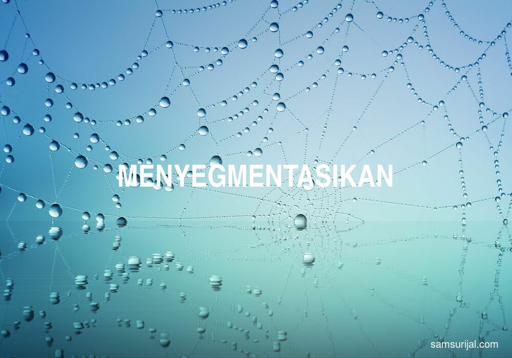 Arti Menyegmentasikan