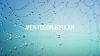 Menyelonjorkan