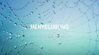 Menyelubung