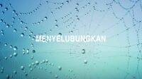 Menyelubungkan