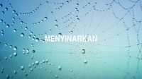 Menyinarkan