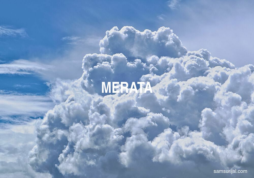 Arti Merata