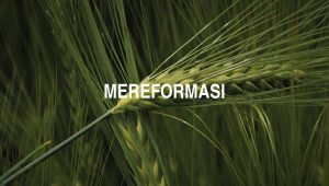 Mereformasi