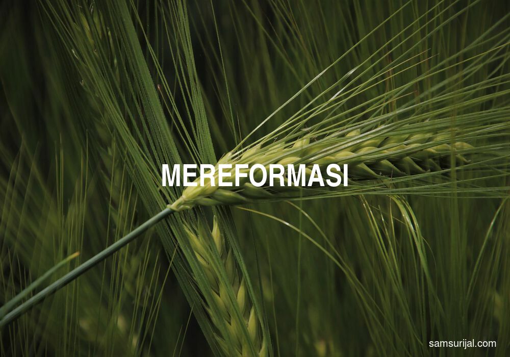 Arti Mereformasi