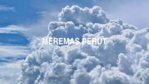 Meremas Perut